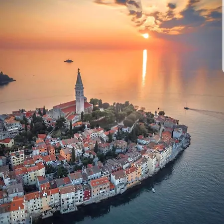 Joy - Rovinj