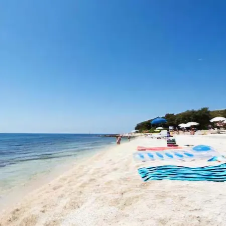 Joy - Rovinj *